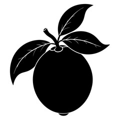 Creative loquat silhouette vector art