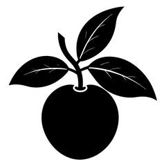 Creative loquat silhouette vector art