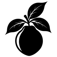 Creative loquat silhouette vector art