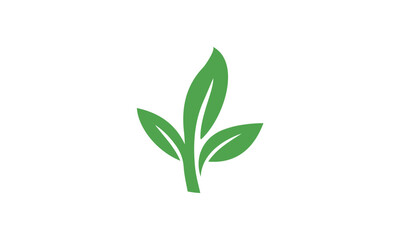 green leaf icon