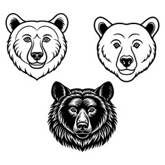 illustration of a bear