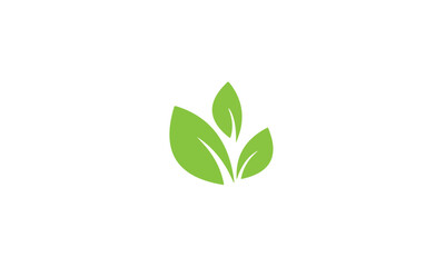 green leaf logo