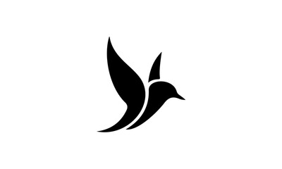 illustration of a bird