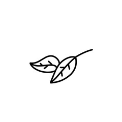leaf branch outline