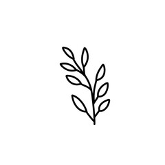 leaf branch outline