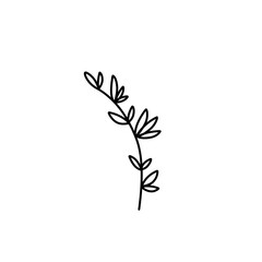 leaf branch outline