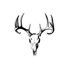 Deer skull hanging  vector