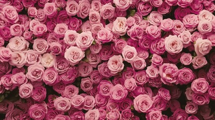 Naklejka premium Patterned wall of pink roses for romantic spring-themed decor and design 