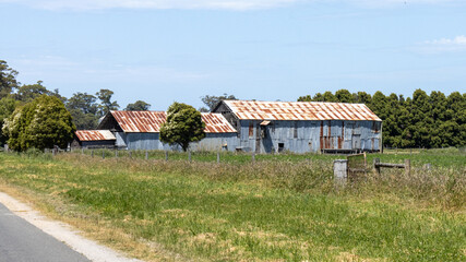 Old corrugated iron farm buildings