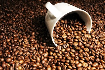 coffee beans in a cup