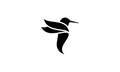 hummingbird