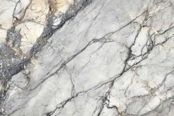 Elegant gray and white marble texture with gold veins.