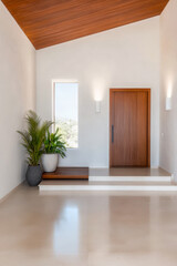 Fototapeta premium Elegant modern entryway design with natural light and plant decor