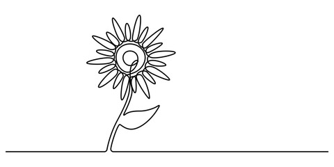 Vector continuous one simple single abstract line drawing of sun flower isolated on white background, One line sunflower element. Black and white monochrome continuous single line art, Sunflower pro.