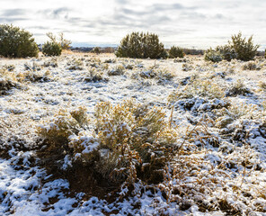 Fresh Snowfall at La Cieneguilla Petroglyphs, Santa Fe, New Mexico, USA
