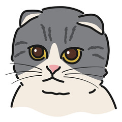 スコティッシュフォールドのイラスト
