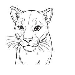 Panther line art vector on white background 