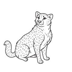 Cheetah line art vector on white background