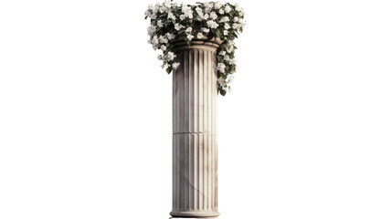 ancient plaster column overgrown with flowers transparent background