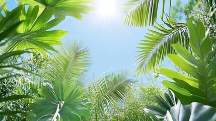 Tropical Paradise  Lush Green Palm Leaves   Sunlight