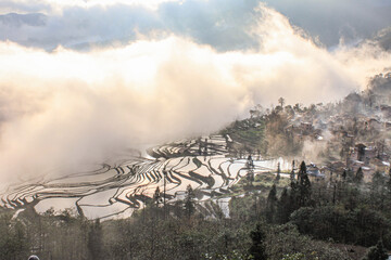Fototapeta premium Terraced rice field in water season of Hani ethnic people in Yuanyang, Yunnan province, China the terraced fields have been officially acknowledged by UNESCO as a World Cultural and Natural HeritageSi
