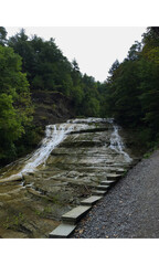 waterfall in the forest