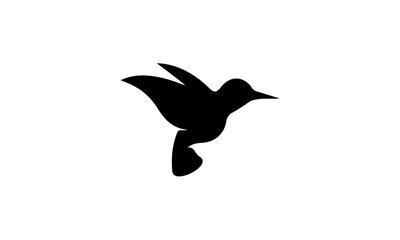 bird logo vector