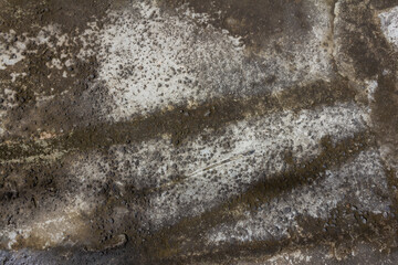 Raw Cement Plaster Concrete Surface Texture