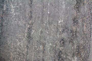 Raw Cement Plaster Concrete Surface Texture