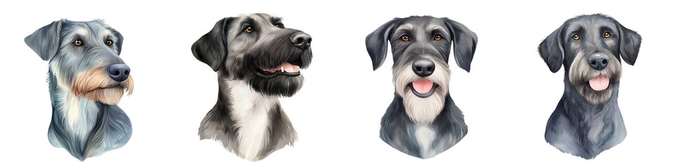 Saint patrick day element, Dog portraits showcasing different Irish Wolfhounds watercolor style, isolated on transparent background.