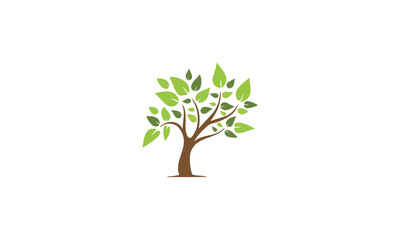 tree isolated on white background