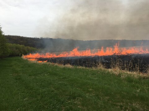 Controlled Burn with Local Fire Department Next to Grass