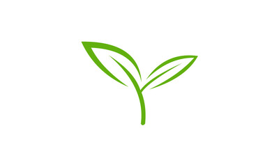 green leaf logo