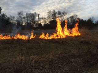 field controlled burn