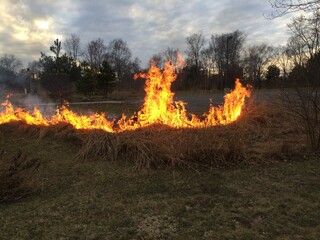 Controlled burn field