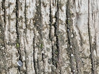 Wall cement texture background