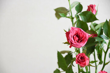スプレー薔薇の花棚