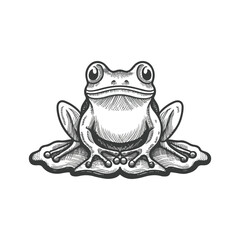 frog vector art and illutration design