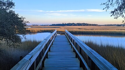 Fototapeta premium Wooden Dock Extends Over Calm Marsh Water