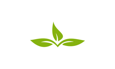 green leaf vector