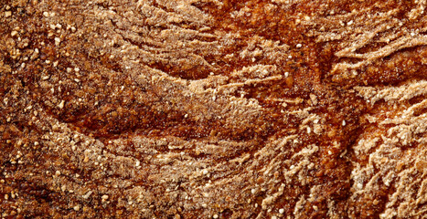 A piece of bread with a brown crust and a grainy texture