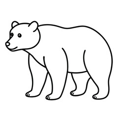 Obraz premium polar bear vector