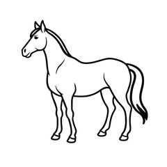 horse isolated on white background