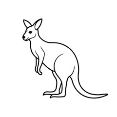 kangaroo vector illustration
