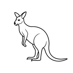 kangaroo vector illustration