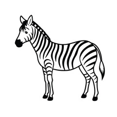 zebra vector illustration