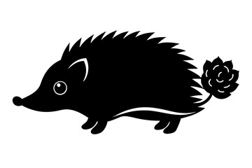 hedgehog on a white background