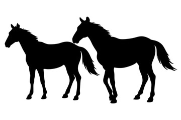 silhouette of a horse
