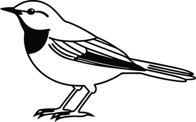 Birds vector art, Cute Birds silhouette vector illustration, Birds line art vector