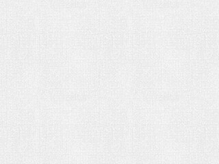 white canvas texture